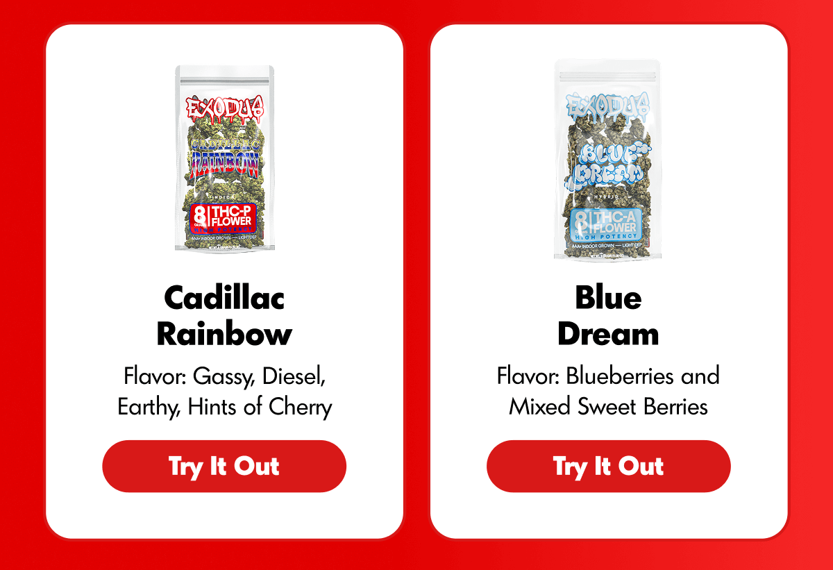 Top Strains For Solo Nights | ExoClub