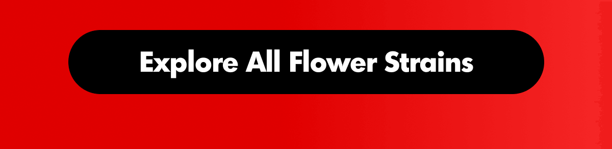 Top Strains For Solo Nights | ExoClub