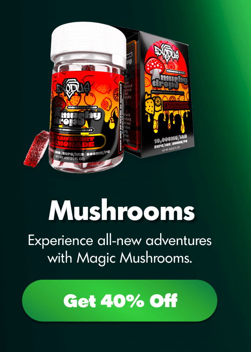 Shop Premium Mushrooms