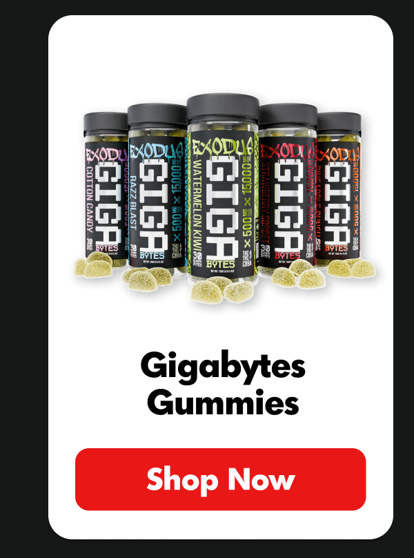 Shop Gigabytes