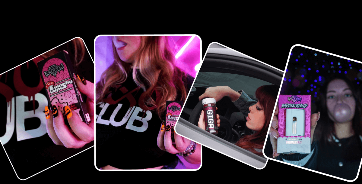 Explore All | ExoClub