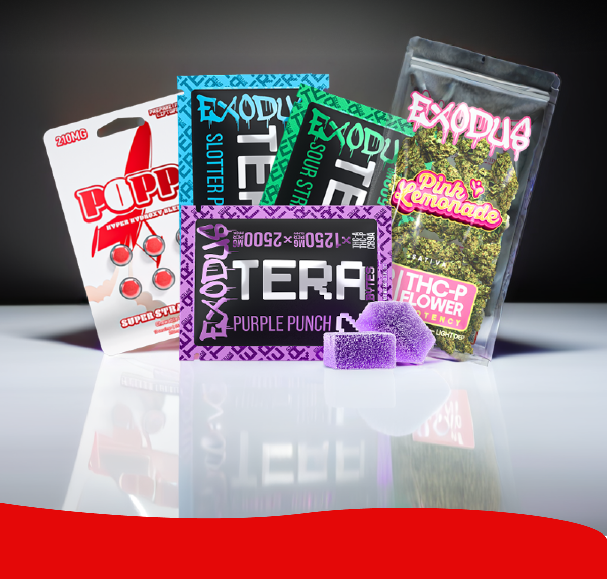 See What's New! | ExoClub