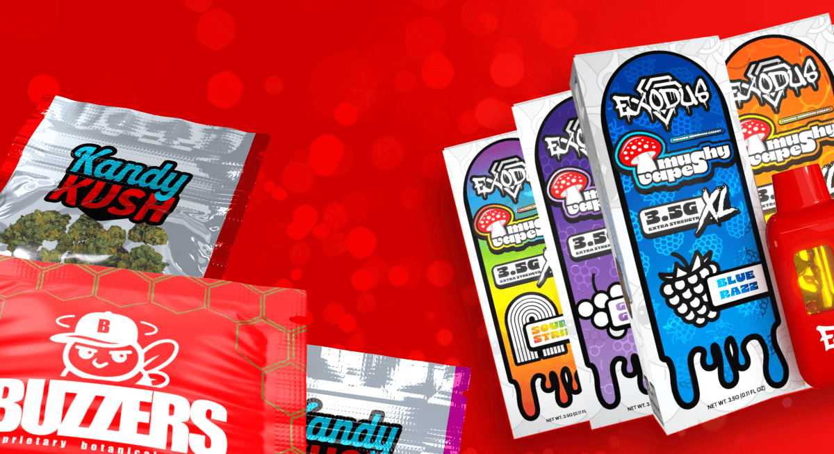 New Favorites For 2026 | ExoClub