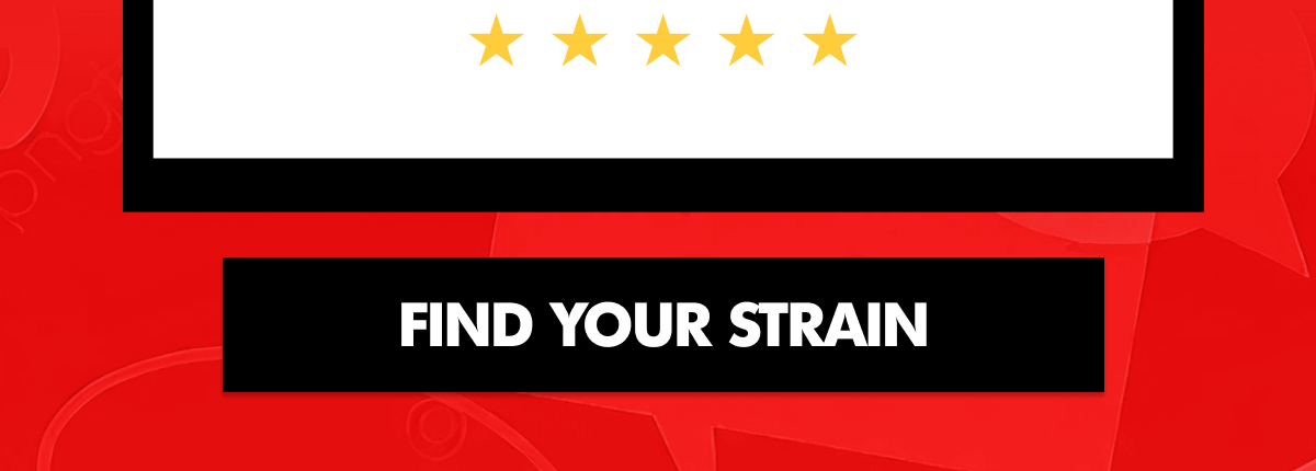 Shop Flower | ExoClub