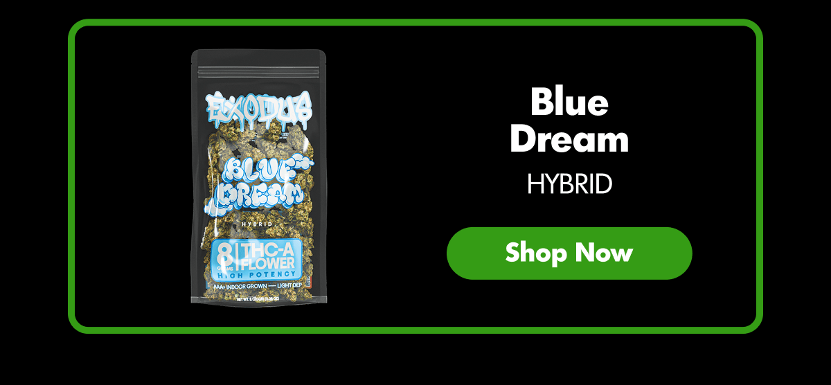 Blue Dream | ExoClub