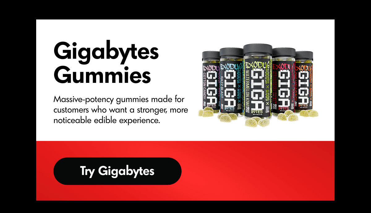 Gigabytes | ExoClub