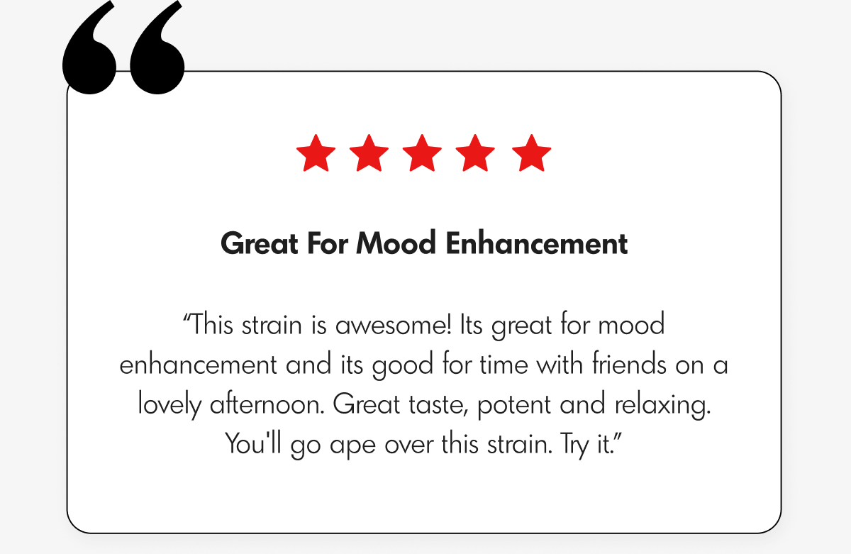 Great For Mood | ExoClub