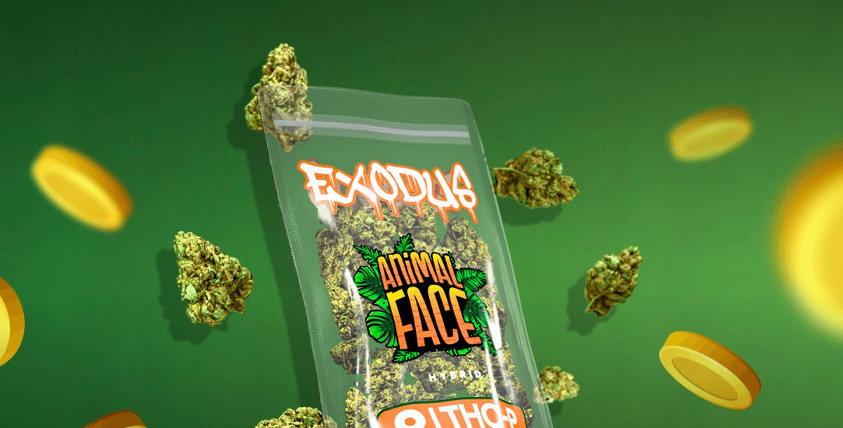 Strains of Gold | ExoClub