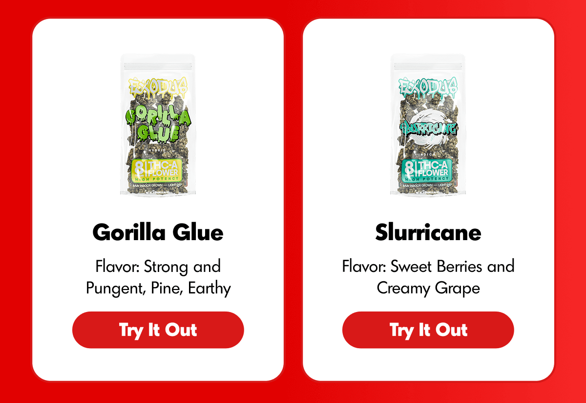 Top Strains For Solo Nights | ExoClub