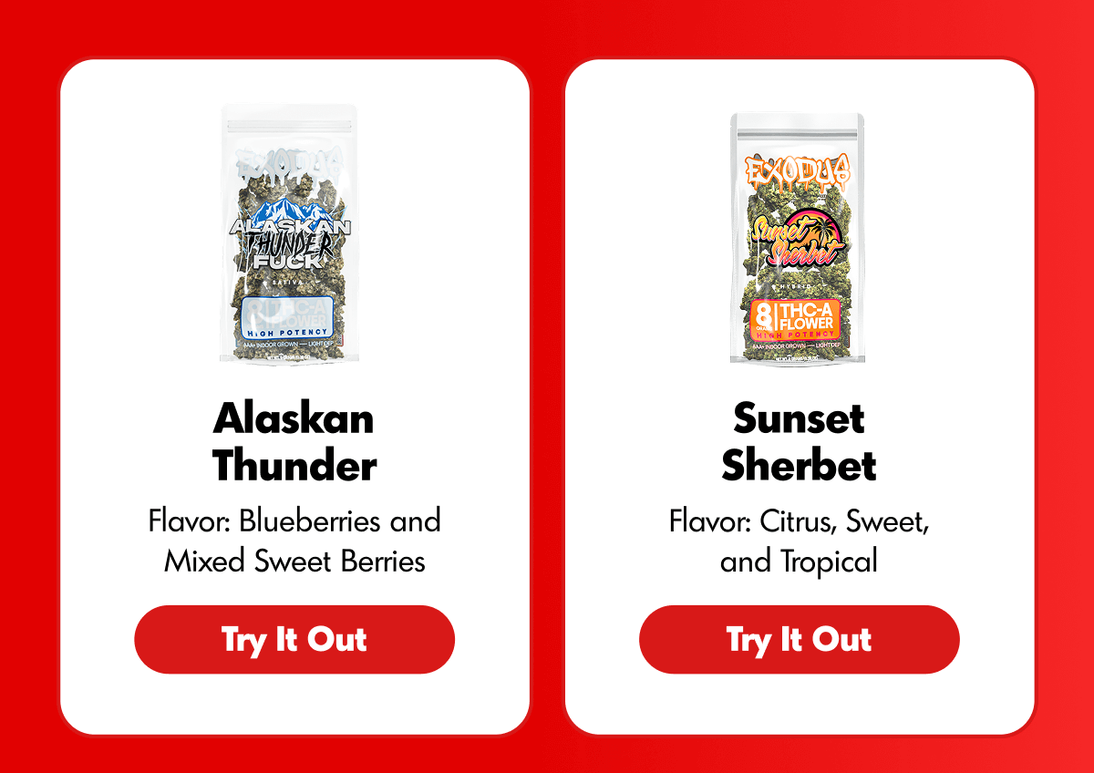 Top Strains For Solo Nights | ExoClub