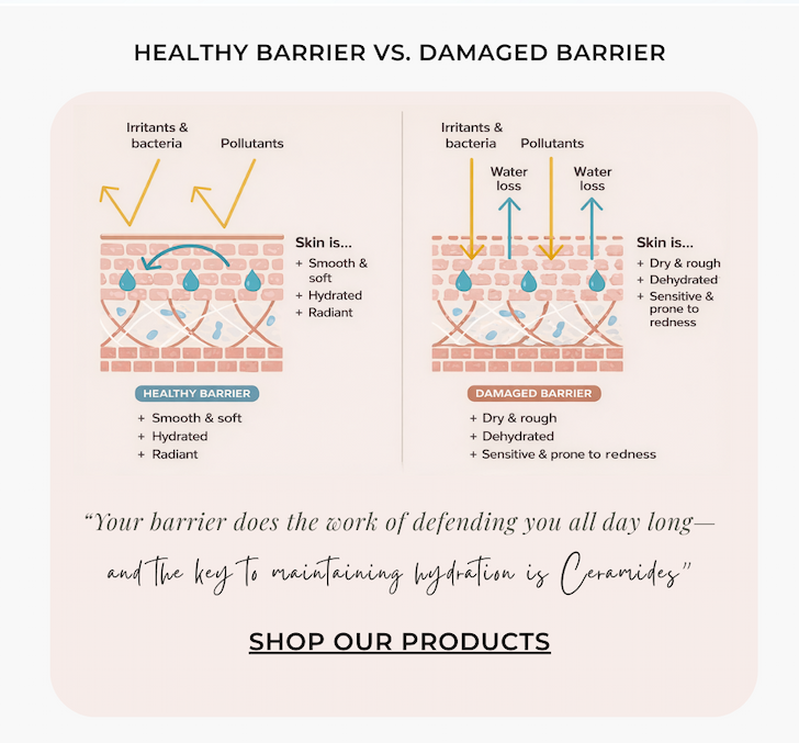 Dr.Zenovia Anti-Aging Collection