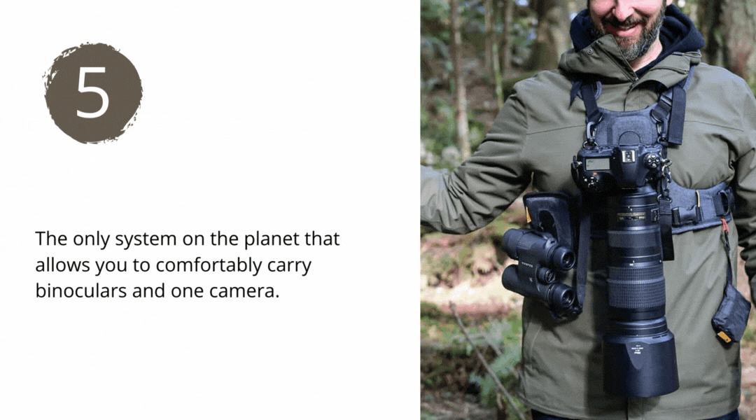 What Gear do You Typically Carry On a Photoshoot? 📸 Cotton Carrier