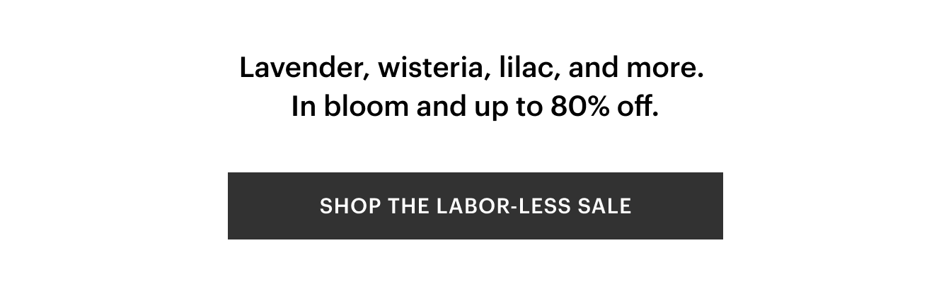 button linking to sale