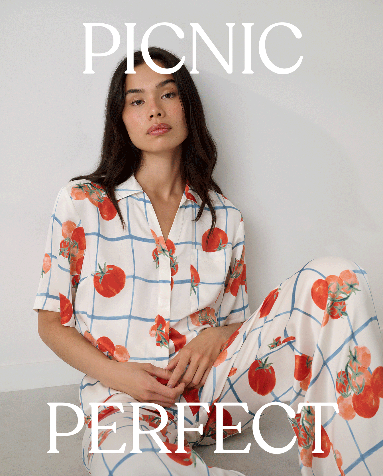Picnic Perfect 