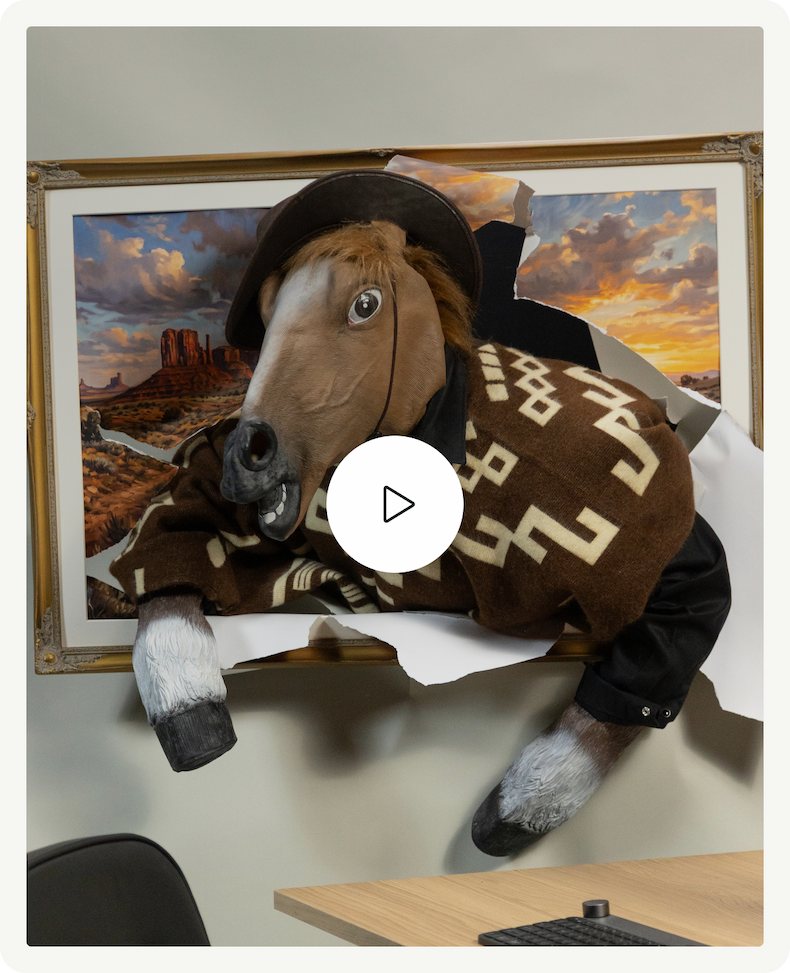 Watch The One Trick Pony Video