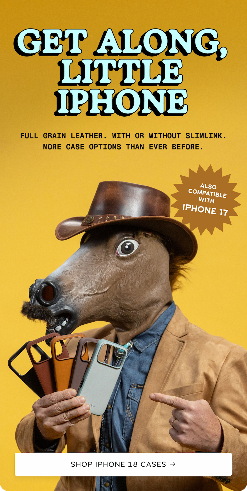 Shop iPhone 18 Cases