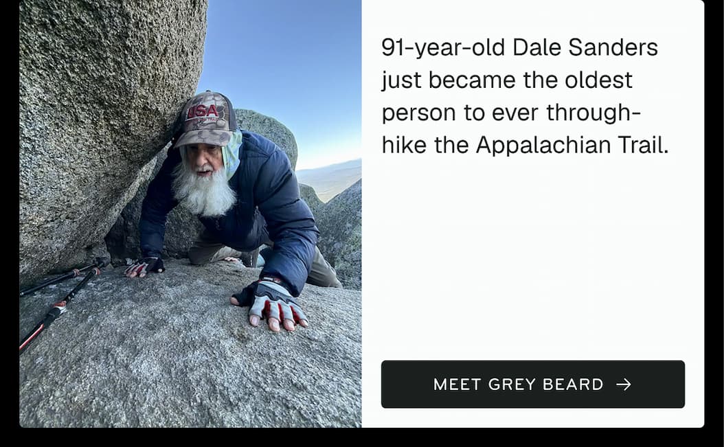 Meet Grey Beard