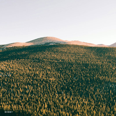 Denver Plains