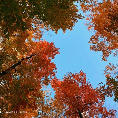 PARASAIL NEOSHO RIVER
