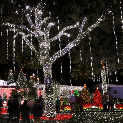 Immerse yourself in thousands of holiday lights at Dazzling Nights in Orlando, FL