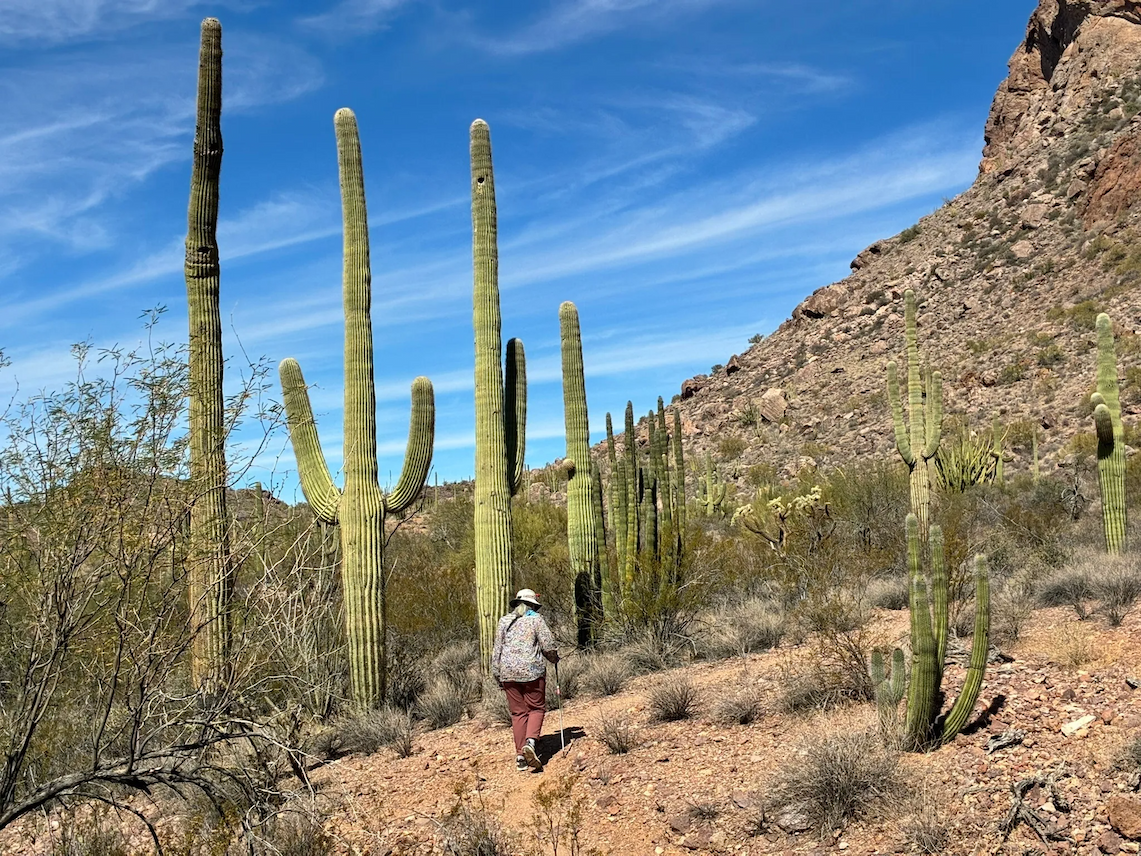 Ride down the snowy slopes at Bottineau Winter Park in a snow tube in North Dakota