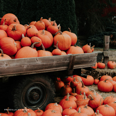 Nebraska pumpkin patch