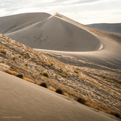 Rent a sandboard at Bruneau Sand Dunes