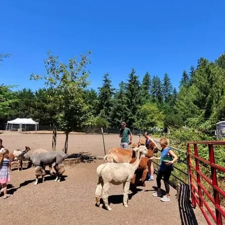 Llama farm review