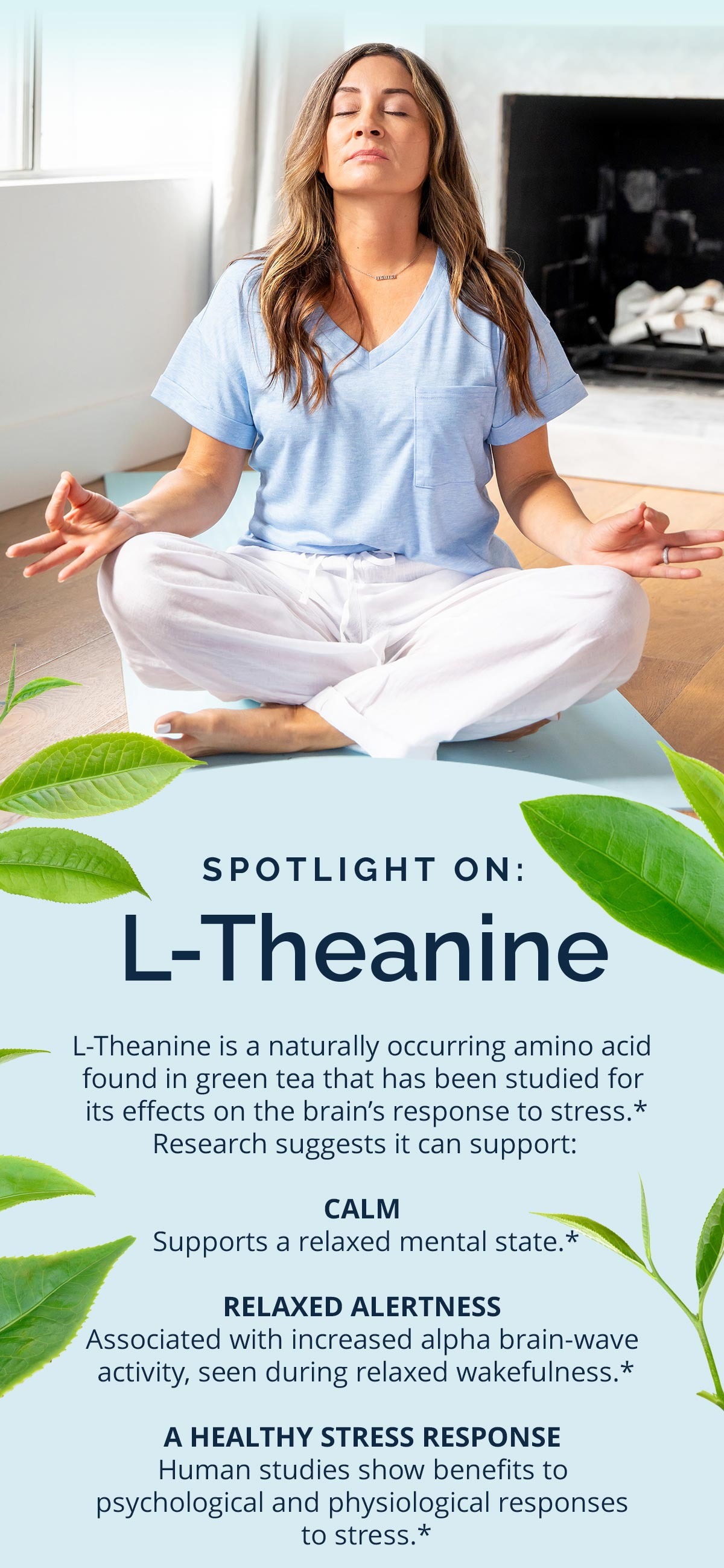 Spotlight On: L-Theanine