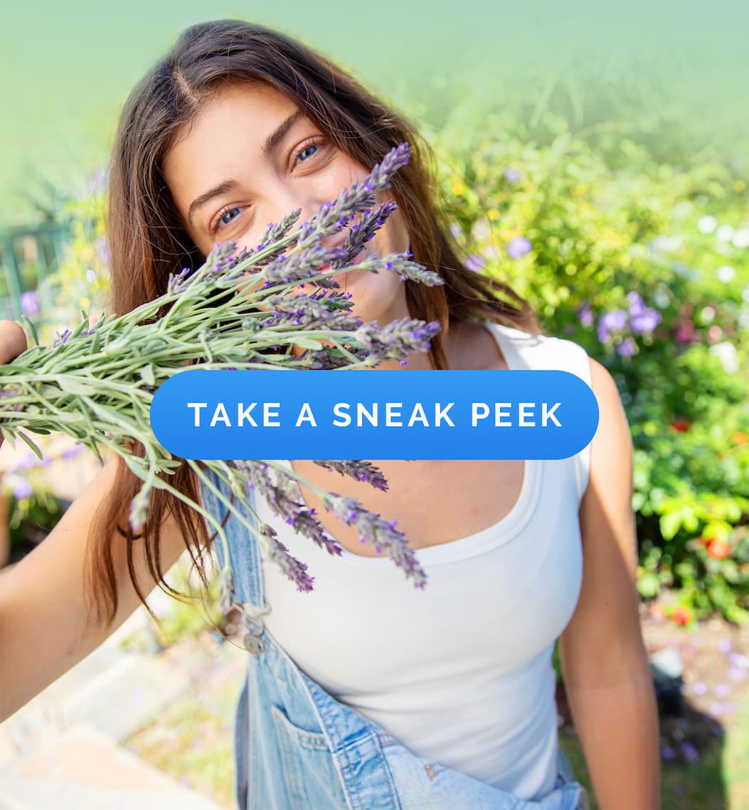 TAKE A SNEAK PEEK