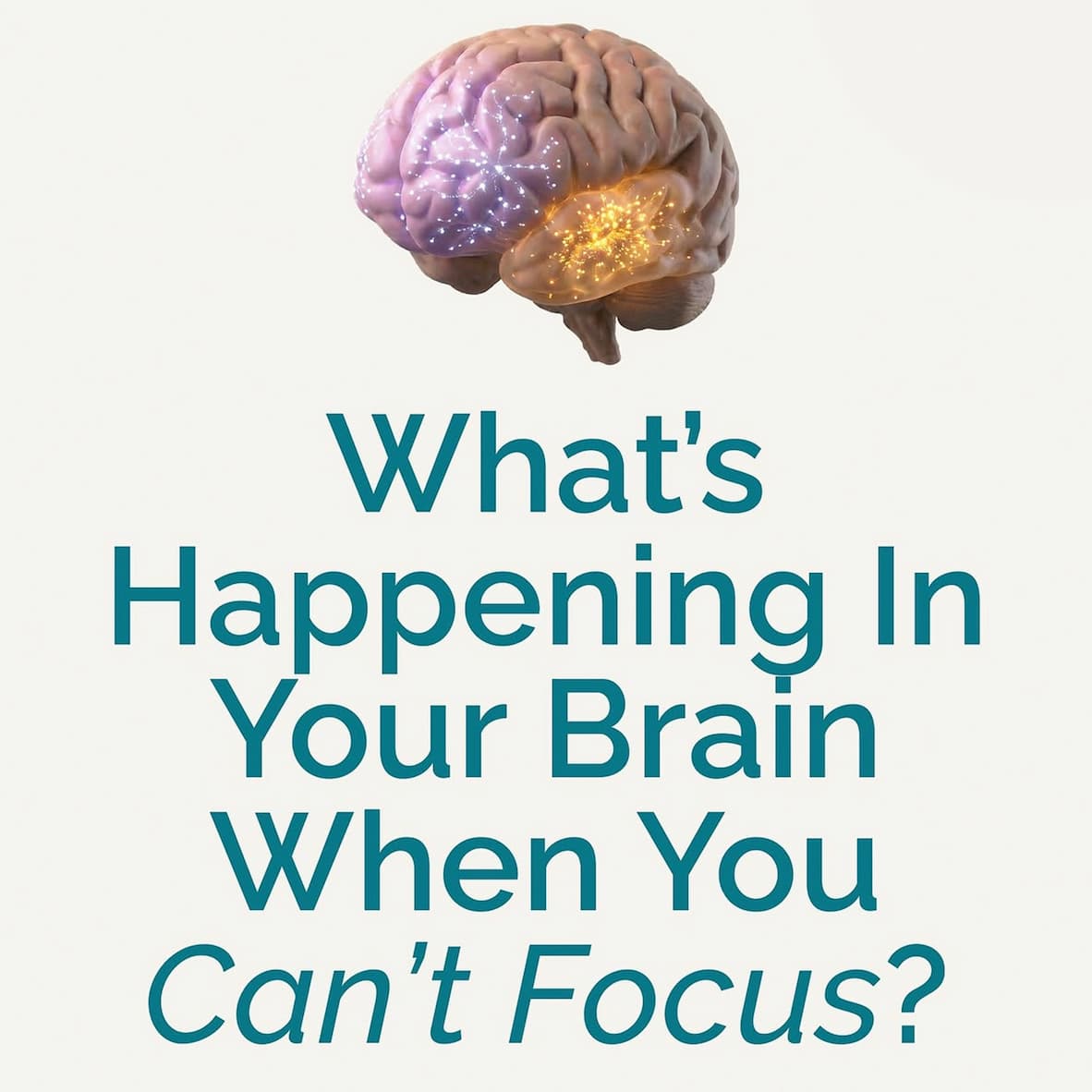 Learn What’s Really Happening In Your Brain 