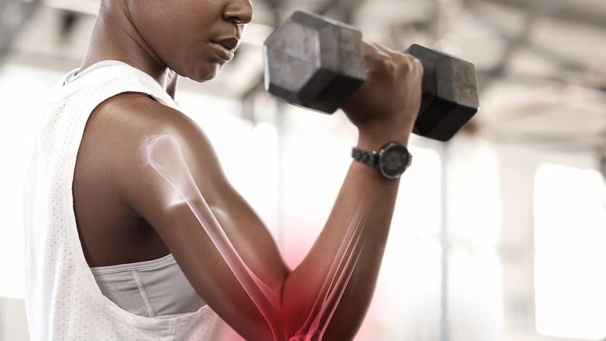 Is Muscle The Secret To Longevity?