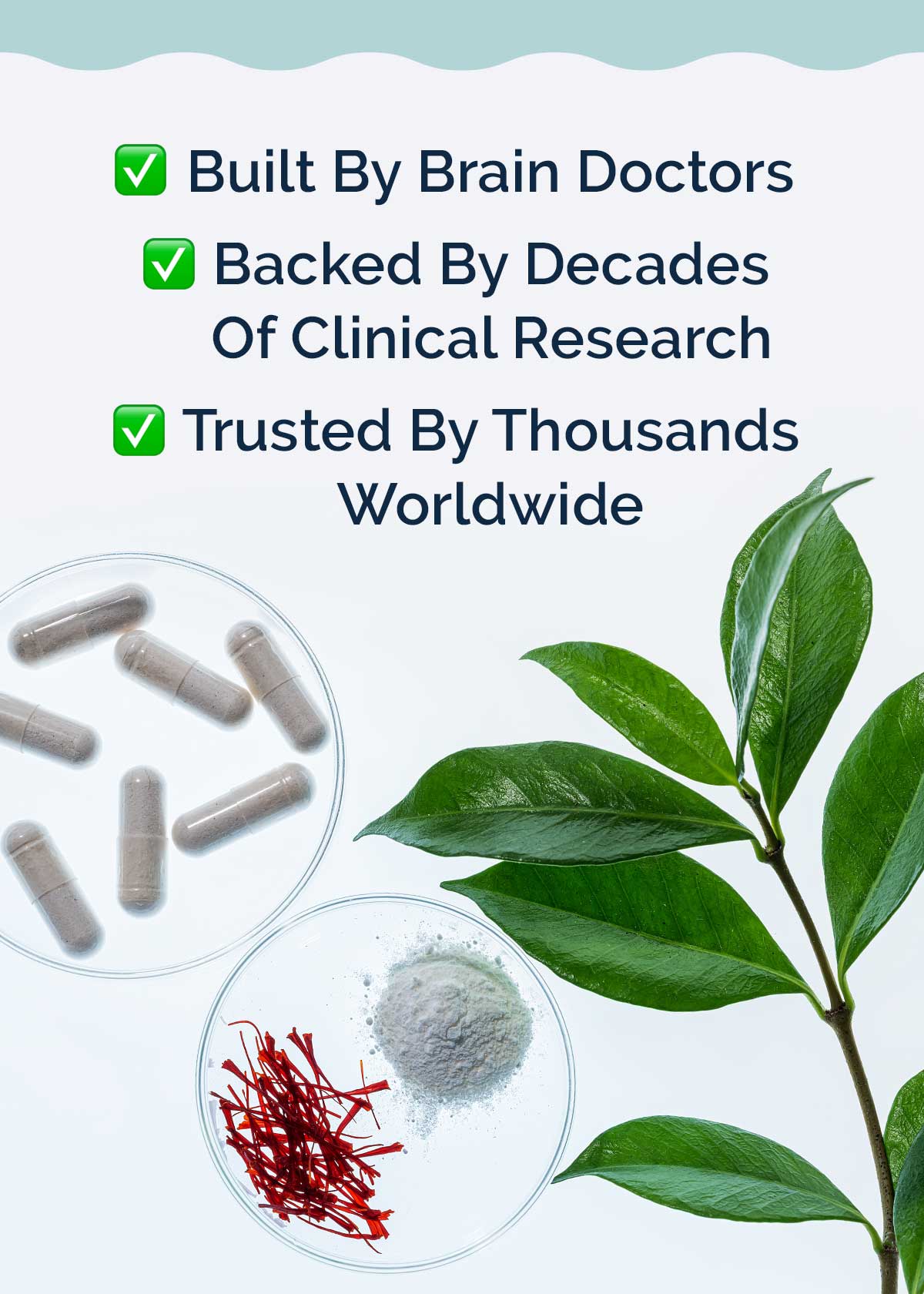 Built by Brain Doctors | Backed by Decades of Clinical Research | Trusted by Thousands Worldwide