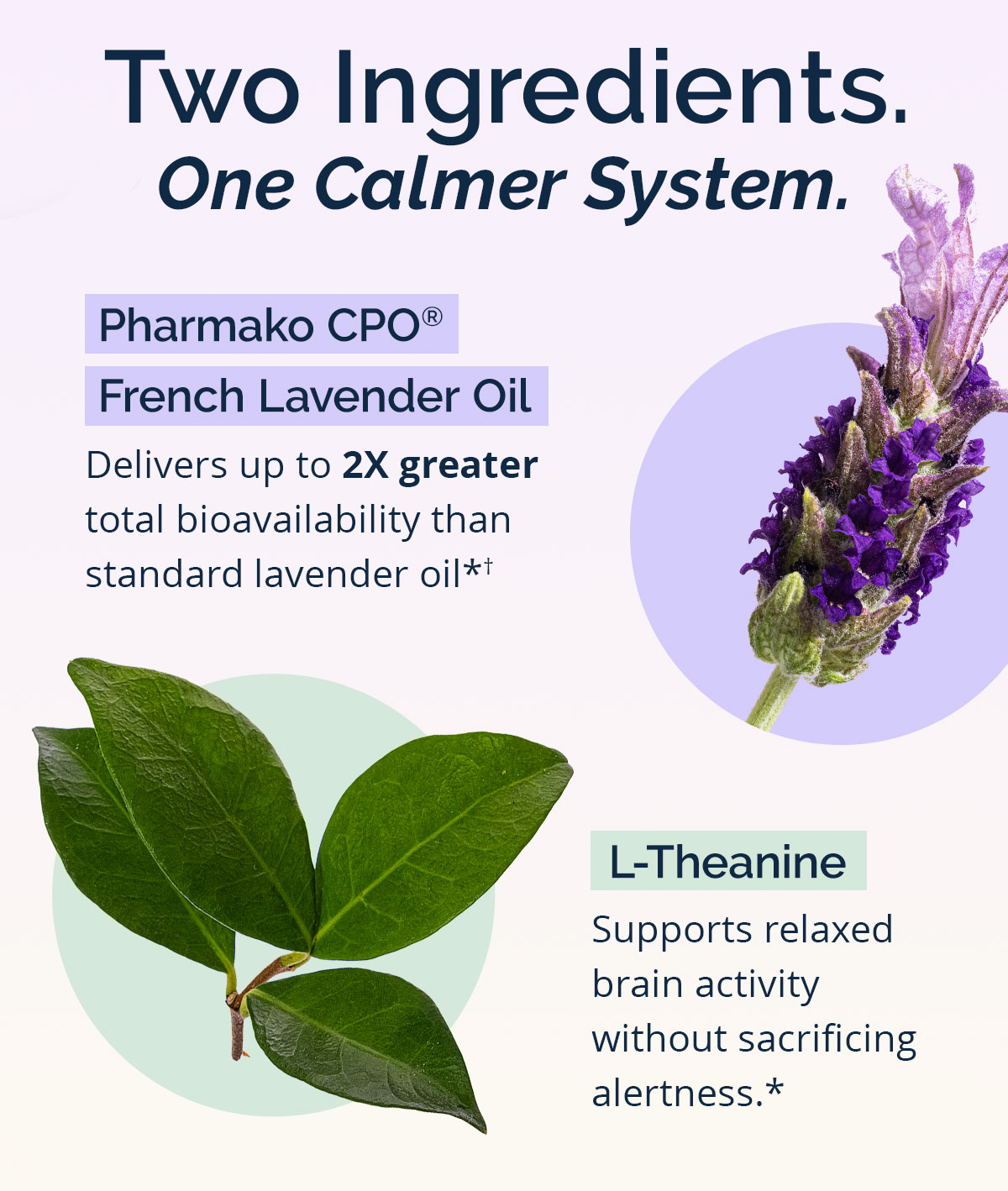 TWO INGREDIENTS. ONE CALMER SYSTEM.