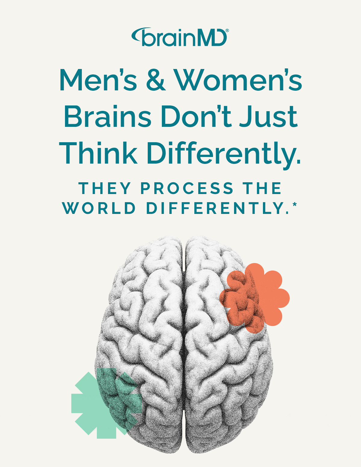 Men’s and women’s brains don’t just think differently.