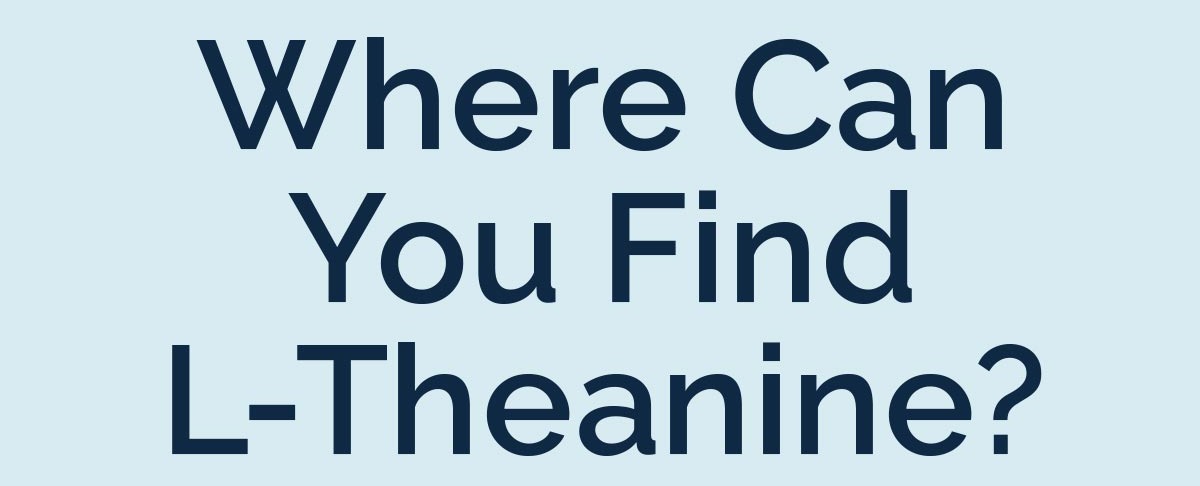 Where Can You Find L-Theanine?