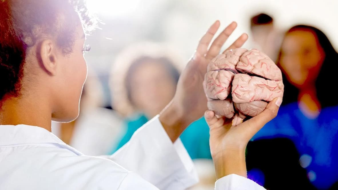Why Some Memories Stick—And Others Don’t