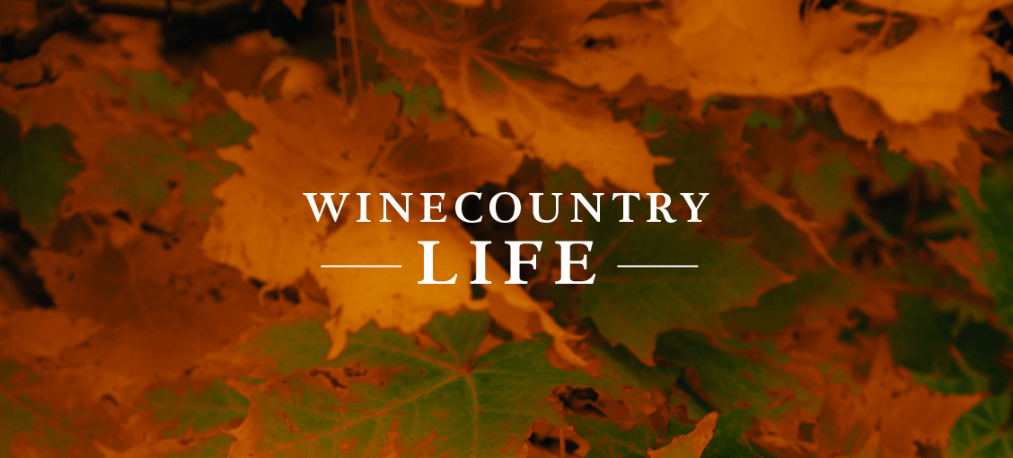 Wine Country Life Header