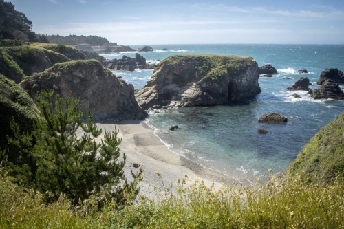 Camp Along the Coast