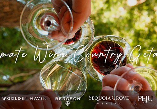 wine toast giveaway banner