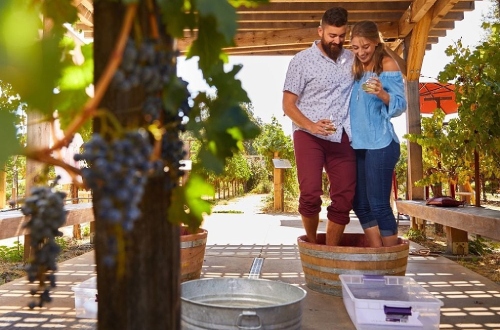 Couple stomping grapes in small tub