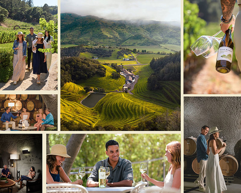 Pine Ridge Vineyards