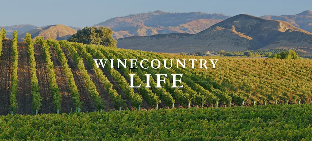 Vineyard and mountain view - Wine Regions
