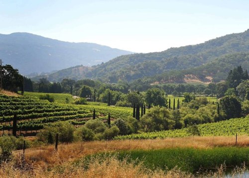 Couple wine tasting