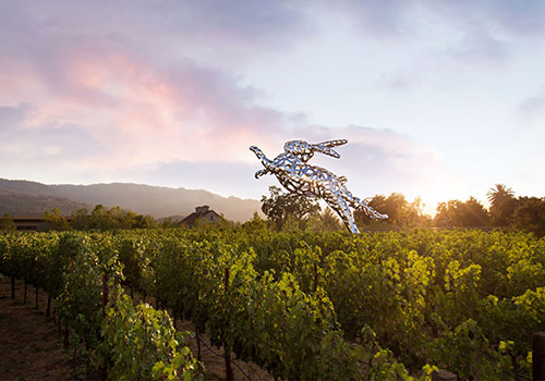 Hall Wines in Napa Valley, CA