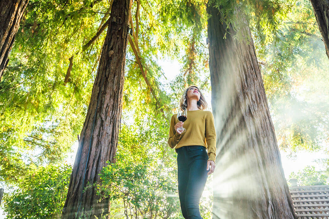 Experience Sequoia Grove in the heart of Napa Valley