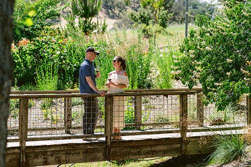 Sonoma Giveaway