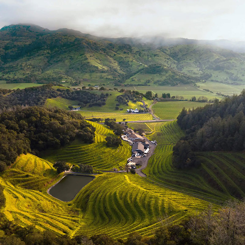 Aerial view of Pine Ridge Vineyards