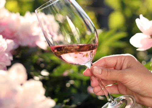 14 Fantastic Rosés For Spring