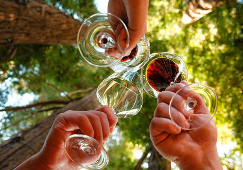 wine toast at Sequoia Grove Winery
